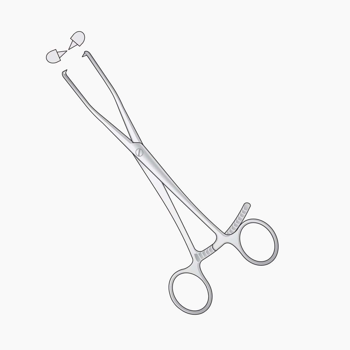 bone-surgery8
